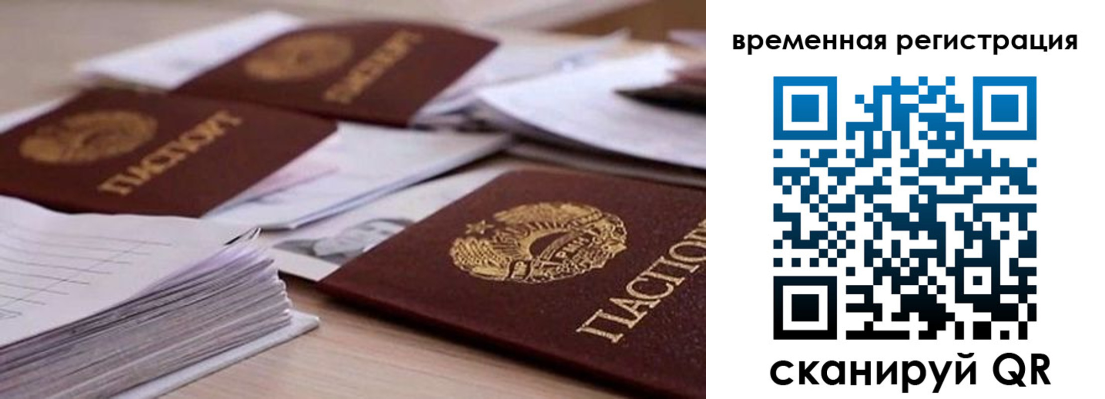 временная регистрация поиск в Мытищах